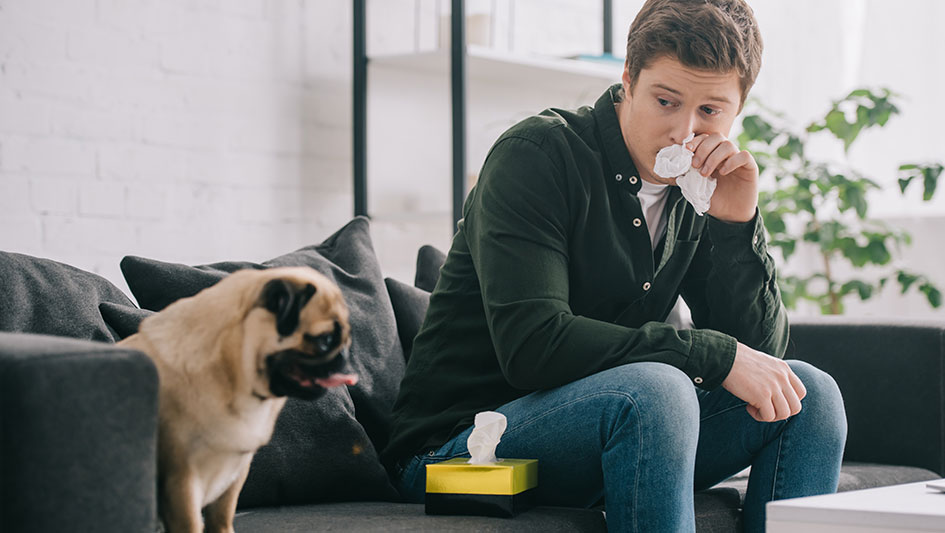 Purchasing an air purifier is one of the wisest approaches to enhance your house’s indoor air quality. Discover more about the three best options. 